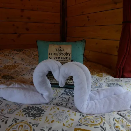 Cosy Crann #find Your Escape Campsite *