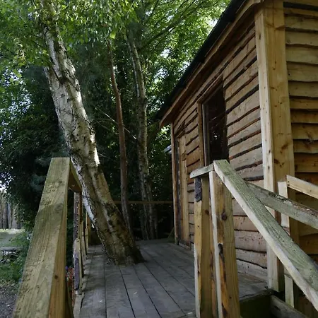 Cosy Crann #find Your Escape