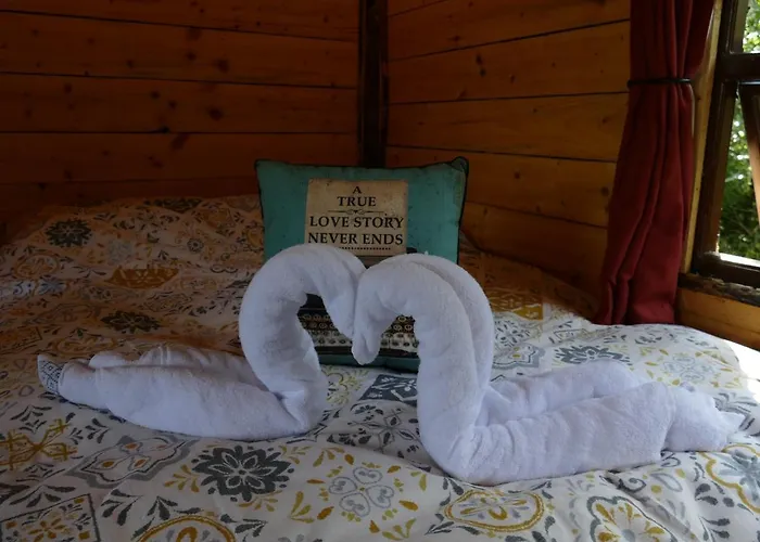 Cosy Crann #find Your Escape Camping *