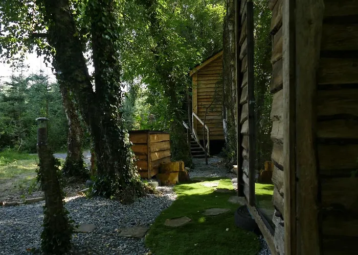 Camping Cosy Crann #find Your Escape Loughrea
